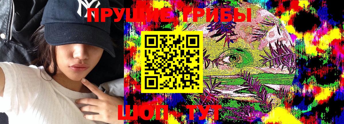 Псилоцибиновые грибы Psilocybine cubensis Кстово